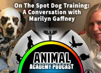 The Animal Academy Podcast: Marilyn Gaffney Tells Us All About On The Spot Dog Training...