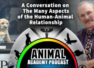 The Animal Academy Podcast: Phil Arkow Explains "The Link" Between Animal Abuse & Human Violence