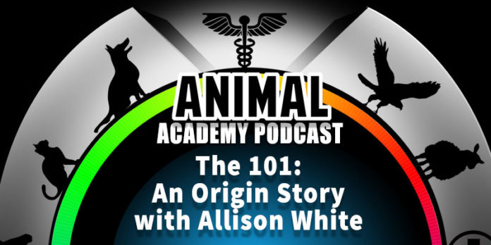Animal Academy Podcast: An Origin Story - The 101