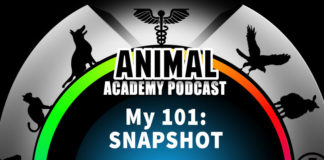 The 01 Snapshot for The Animal Academy Podcast
