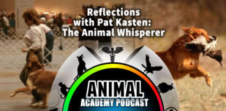 Pat Kasten - A Guest on The Animal Academy Podcast with Allison White!