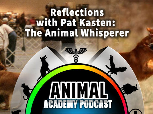 Pat Kasten - A Guest on The Animal Academy Podcast with Allison White!