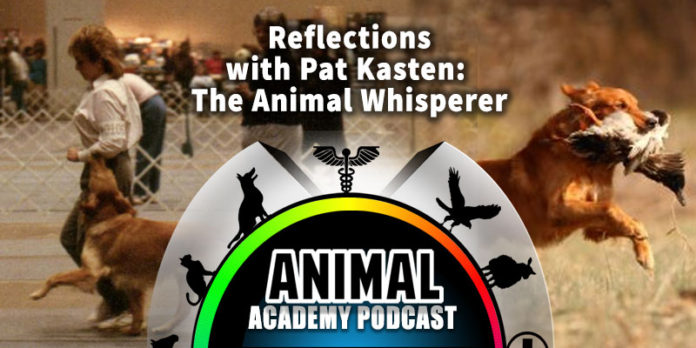 Pat Kasten - A Guest on The Animal Academy Podcast with Allison White!