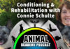 Animal Academy Podcast: Connie Schulte – DPT, CCRP: Conditioning & Rehabilitation Expert Shares All