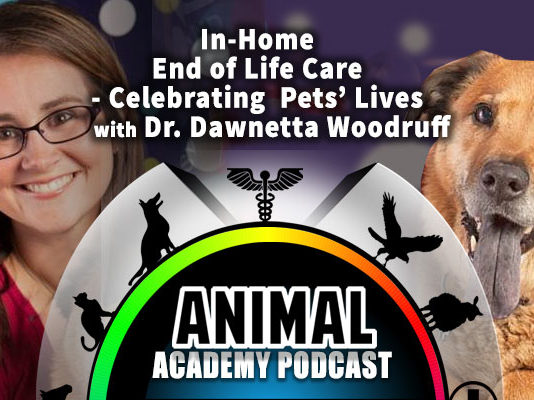 The Animal Academy Podcast - Celebrating The End-of-Life for a Pet, At-Home...