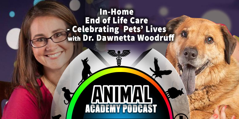 The Animal Academy Podcast - Celebrating The End-of-Life for a Pet, At-Home...