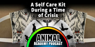The Animal Academy Podcast - In a Time of Crisis, a Self-Care Kit is a Must...
