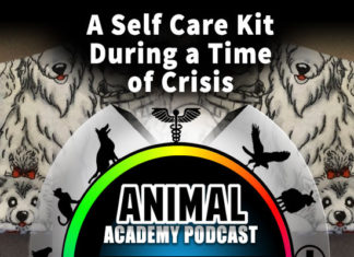 The Animal Academy Podcast - In a Time of Crisis, a Self-Care Kit is a Must...