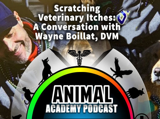 The Animal Academy Podcast:
