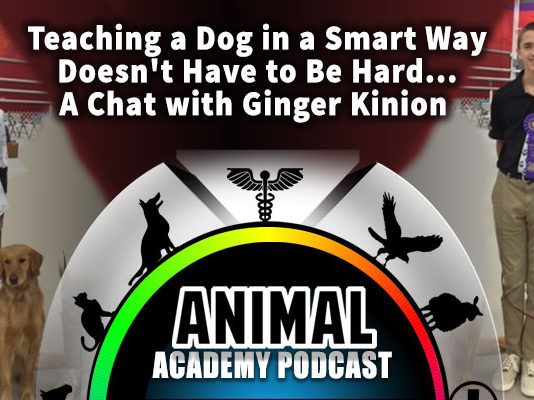 The Animal Academy Podcast: Are You Training Your Dog The Smart Way? Ginger Kinion Can Tell You How...