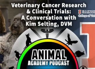 The Animal Academy Podcast: Veterinary Cancer Research That Impacts Human Oncology & More...