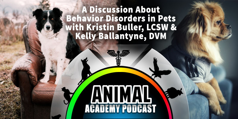 The Animal Academy Podcast: Behavior Disorders in Animals - A Conversation Every Pet Owner Needs to Hear...