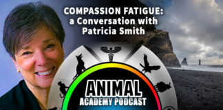The Animal Academy Podcast: Patricia Smith Tells Us All About Compassion Fatigue...