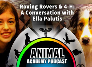 The Animal Academy Podcast: Ella Palutis Shares The 4-H Mission & Details Roving Rovers...