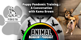 The Animal Academy Podcast: Puppy Training During the Pandemic: Kama Brown