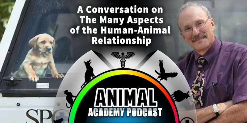 The Animal Academy Podcast: Phil Arkow Explains "The Link" Between Animal Abuse & Human Violence