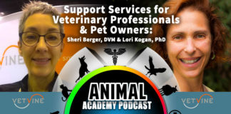 The Animal Academy Podcast: A Passionate Stockpile of Veterinary & Pet Owner Information