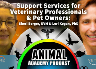 The Animal Academy Podcast: A Passionate Stockpile of Veterinary & Pet Owner Information