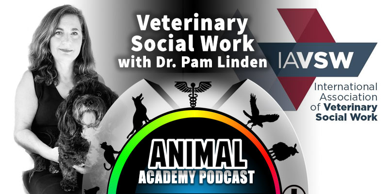 The Animal Academy Podcast: Detailing the Training & Experience Involved When Working with Those Who Work with Animals
