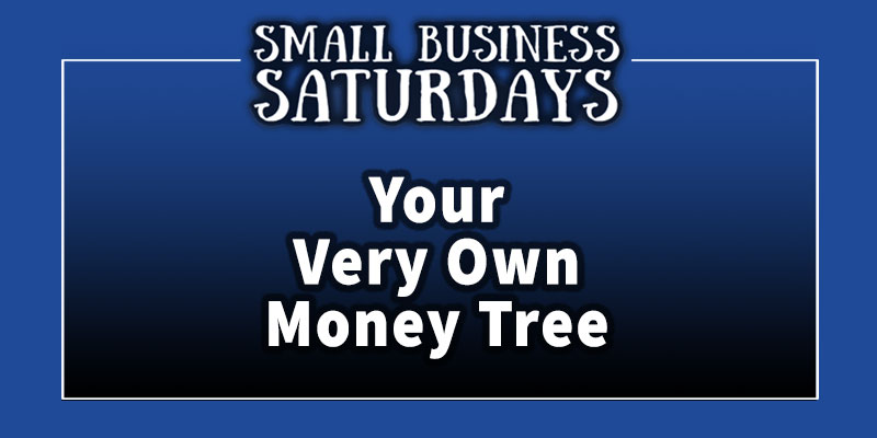 Small Business Saturdays: Your Very Own Money Tree